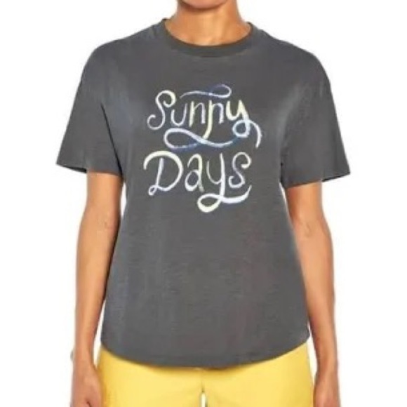 Wildfox Sunny Days graphic tee shirt sleeve gray size XL - Picture 1 of 4